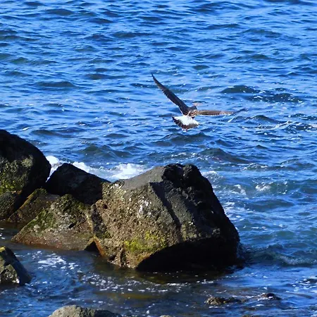 Baia Da Barca Aparthotel 4*